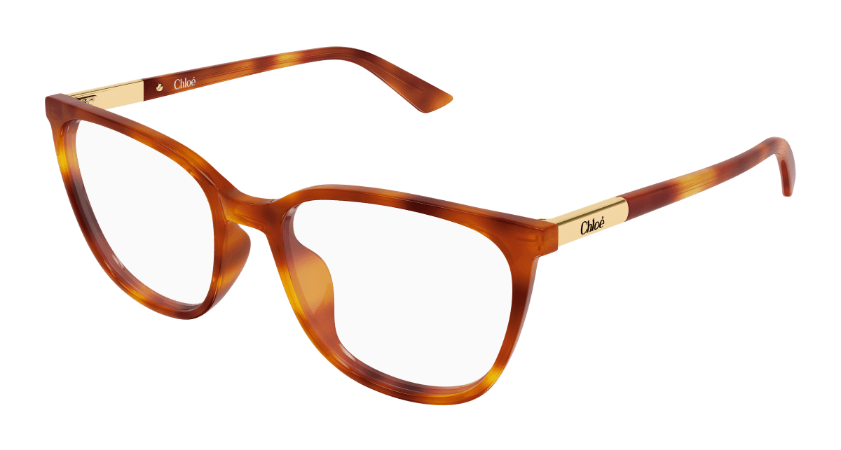 Chloé CH0370OL Havana 889652646862