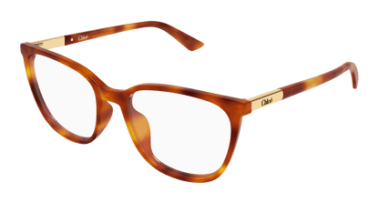 Chloé CH0370OL Havana 889652646862