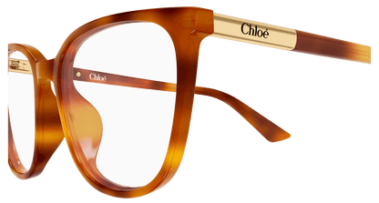 Chloé CH0370OL Havana 889652646862