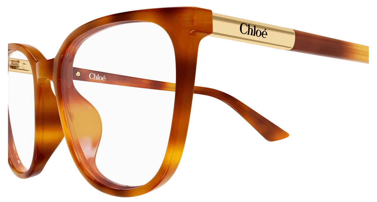 Chloé CH0370OL Havana 889652646862