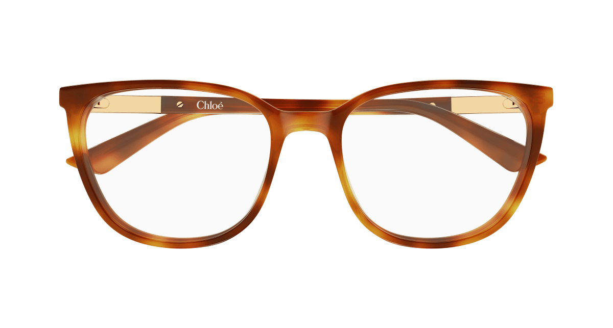Chloé CH0370OL Havana 889652646916