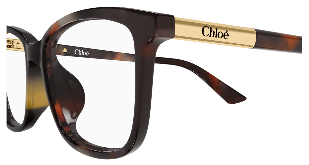 Chloé CH0371OA Havana 889652646961