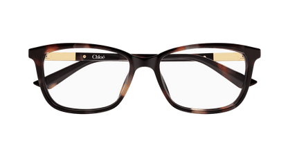 Chloé CH0371OA Havana 889652646961