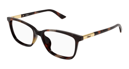 Chloé CH0371OA Havana 889652646961