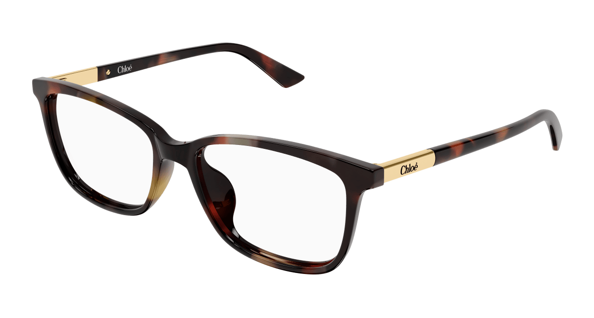 Chloé CH0371OA Havana 889652646961