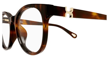Chloé CH0375O Havana 889652647159
