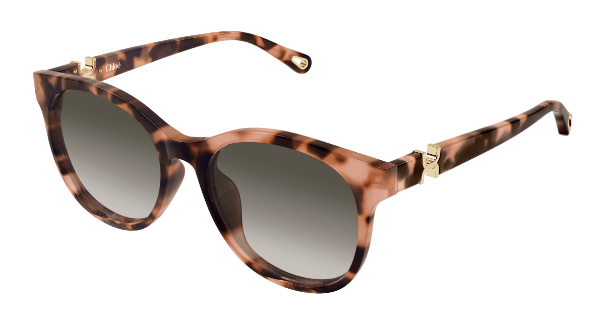 Chloé CH0375SK Havana 889652647203