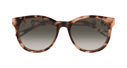 Chloé CH0375SK Havana 889652647203