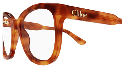 Chloé CH0378O Havana 889652647371