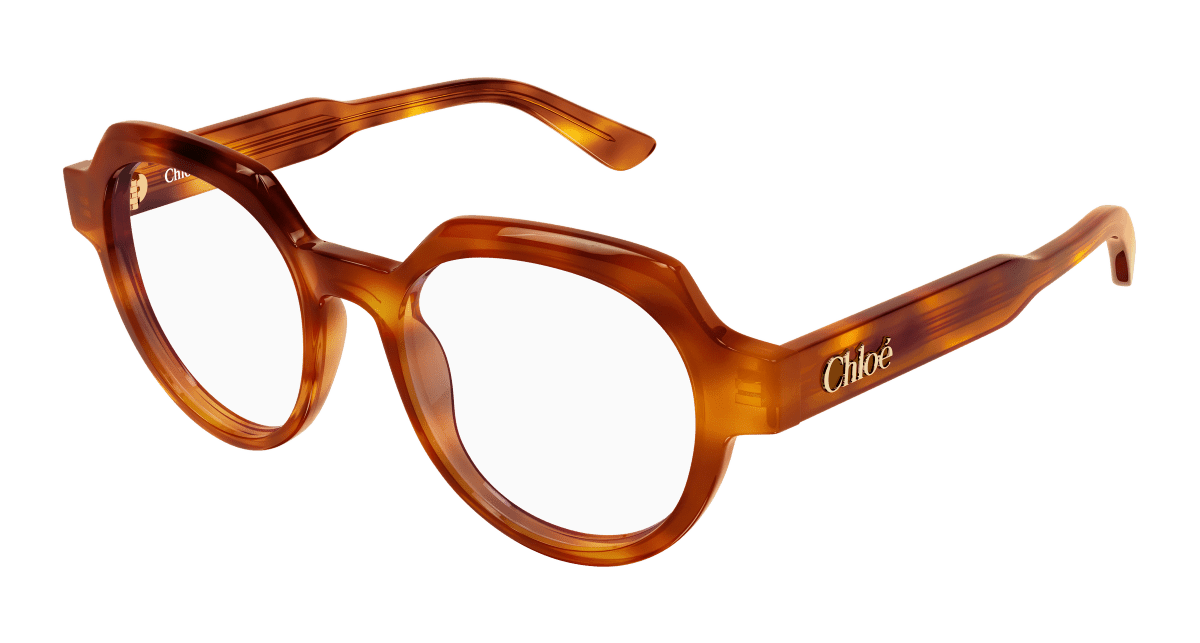 Chloé CH0379O Havana 889652647524