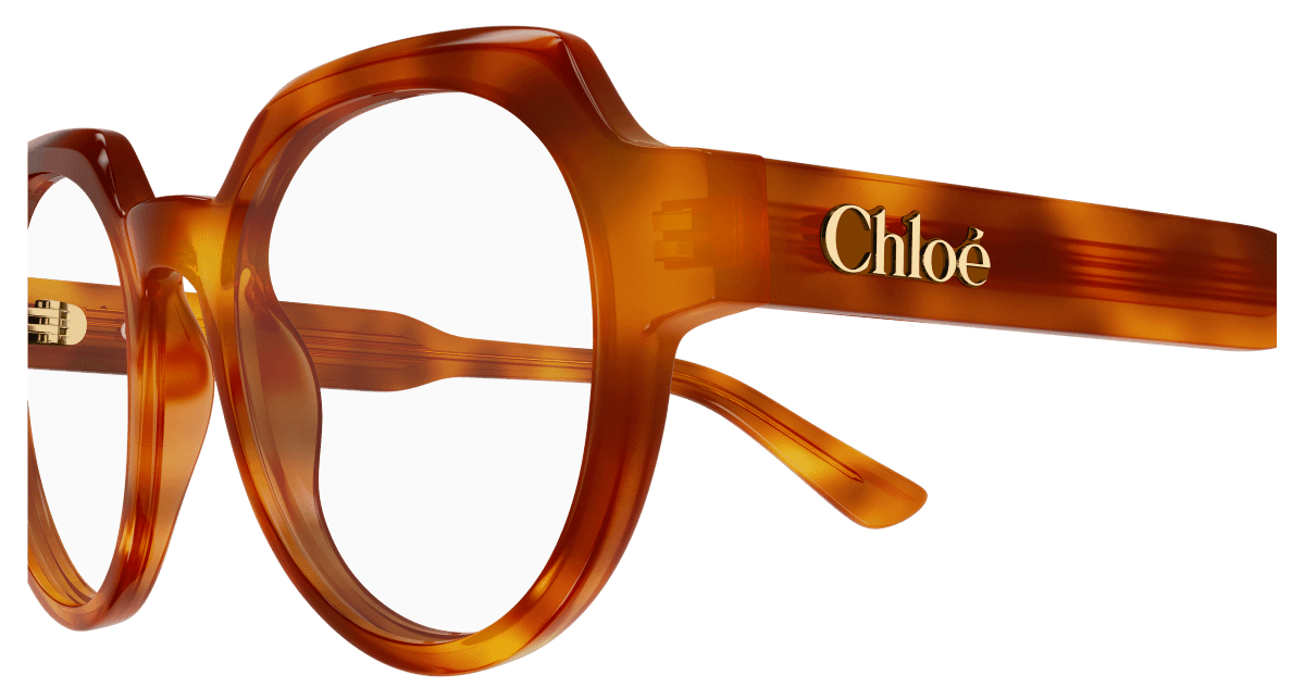 Chloé CH0379O Havana 889652647524