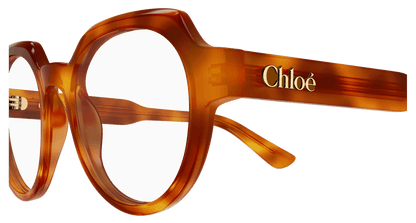 Chloé CH0379O Havana 889652647524
