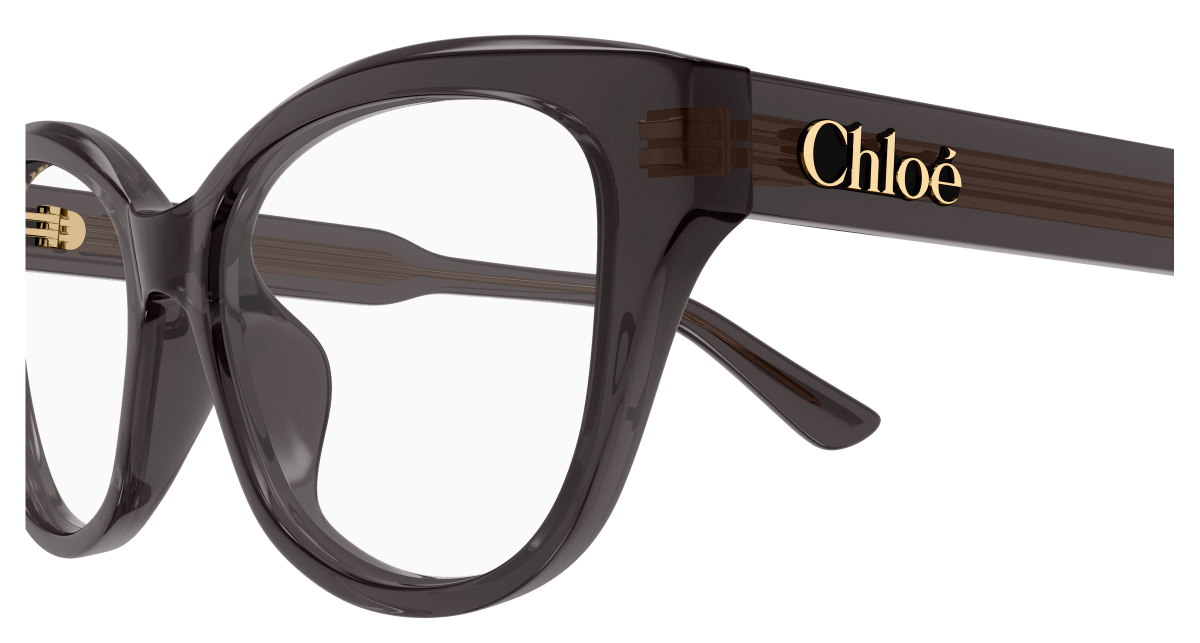 Chloé CH0381OL Grey 006 889652647463