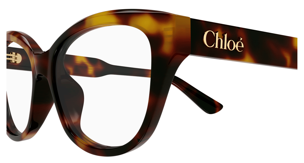 Chloé CH0381OL Havana 889652647425