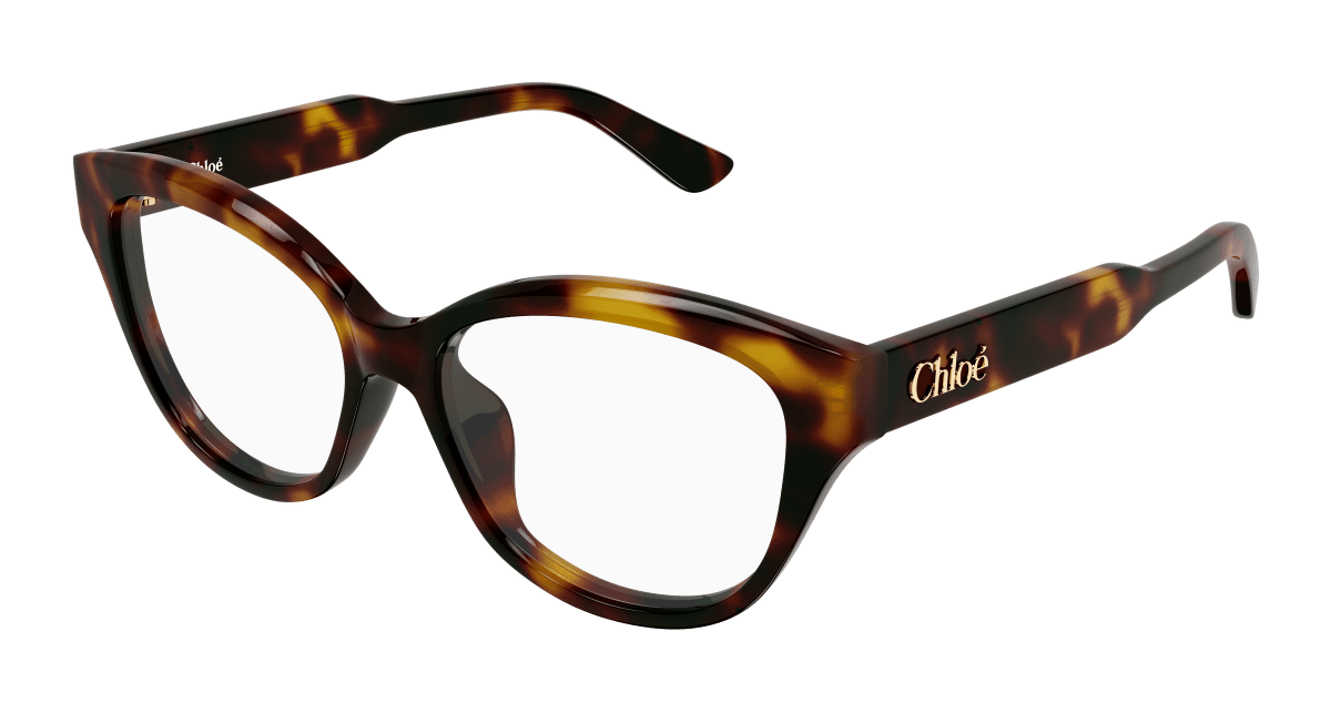 Chloé CH0381OL Havana 889652647425