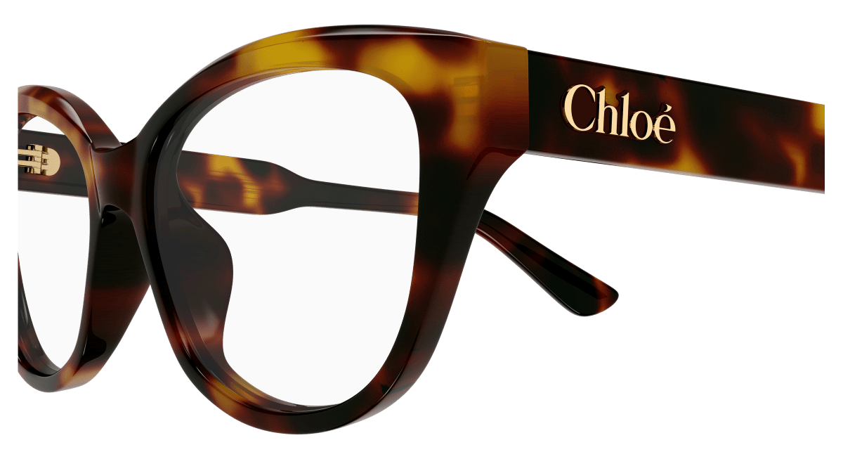 Chloé CH0381OL Havana 889652647470
