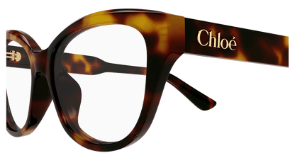 Chloé CH0381OL Havana 889652647470