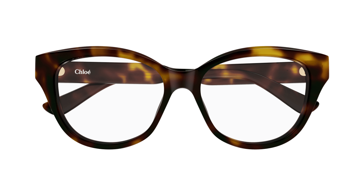 Chloé CH0381OL Havana 889652647470