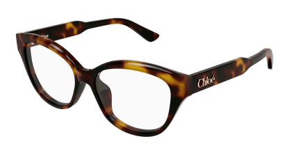Chloé CH0381OL Havana 889652647470