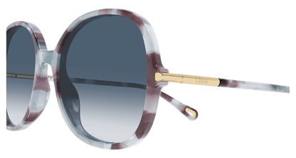 Chloé CH0383S Havana 001 889652647609