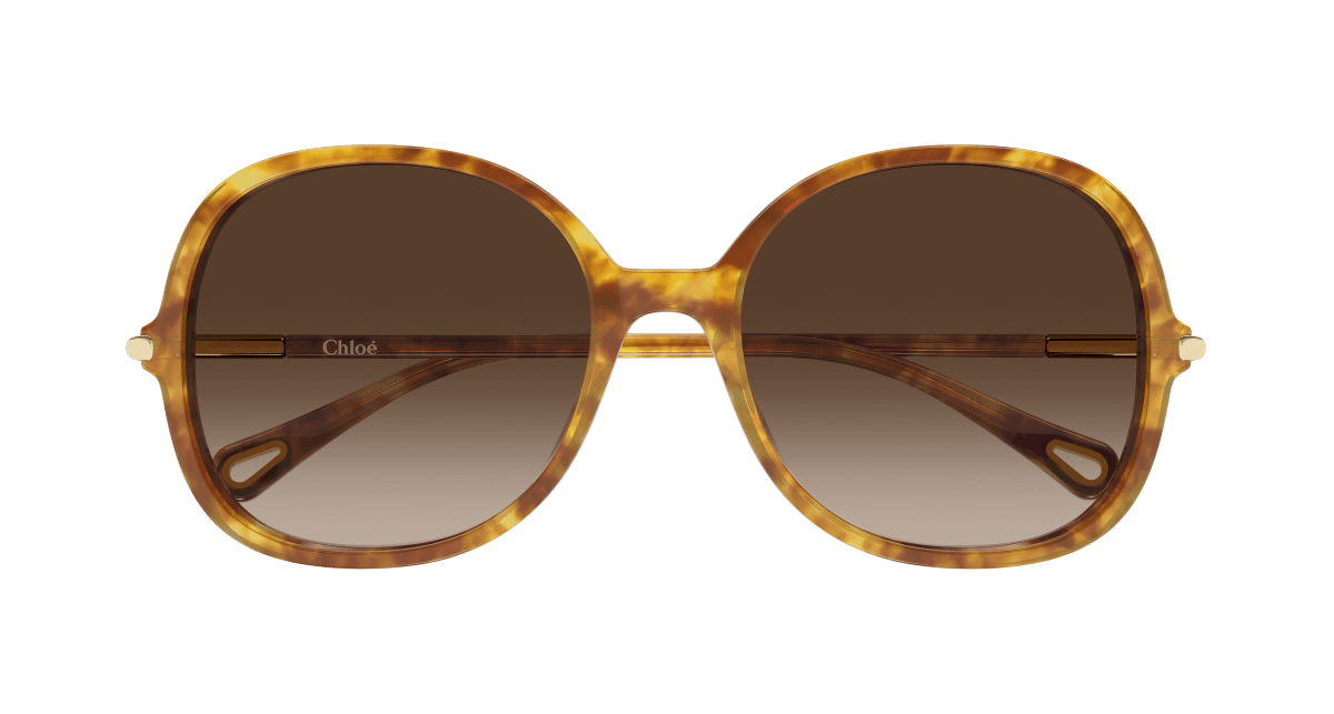 Chloé CH0383S Havana 002 889652647616