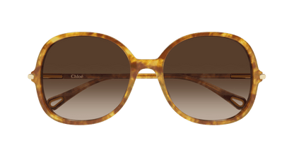 Chloé CH0383S Havana 002 889652647616