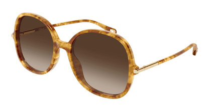 Chloé CH0383S Havana 002 889652647616