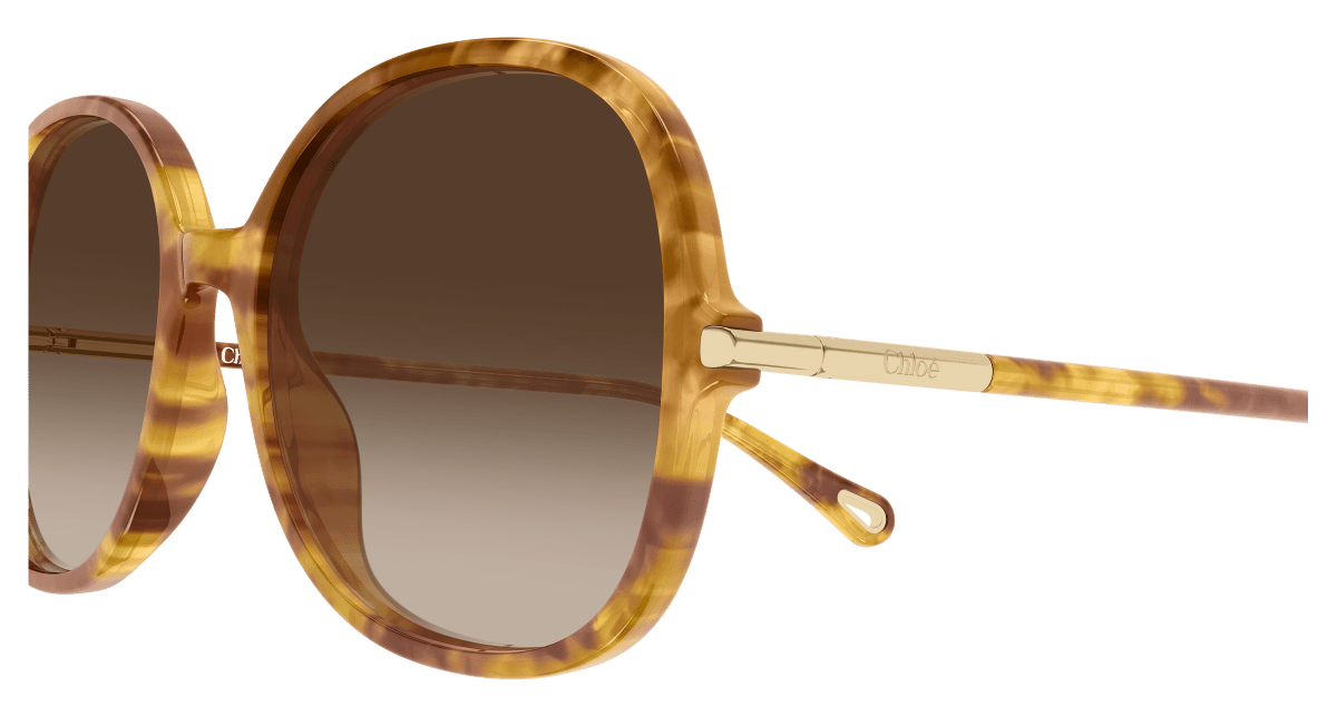 Chloé CH0383S Havana 002 889652647616