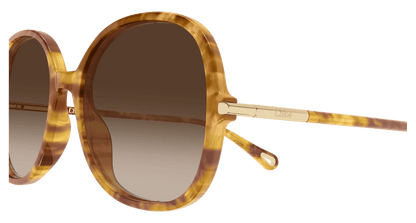 Chloé CH0383S Havana 002 889652647616