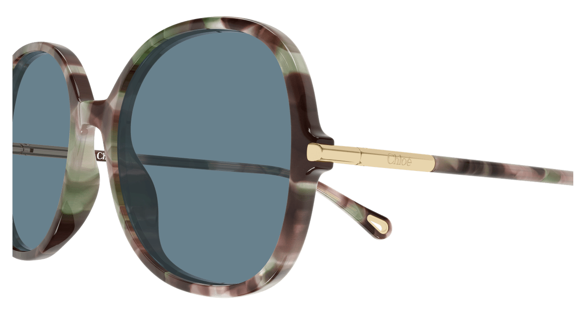 Chloé CH0383S Havana 003 889652647623