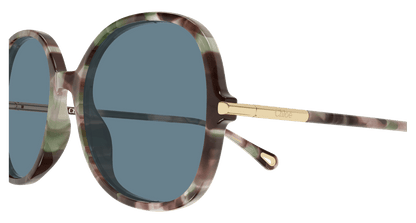 Chloé CH0383S Havana 003 889652647623