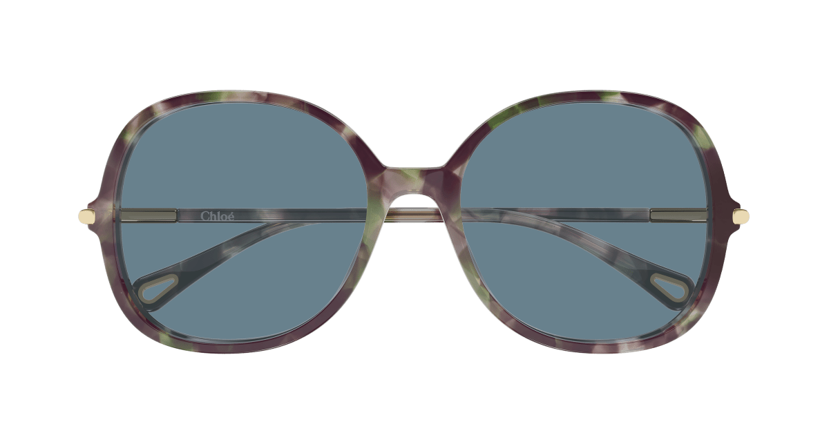 Chloé CH0383S Havana 003 889652647623