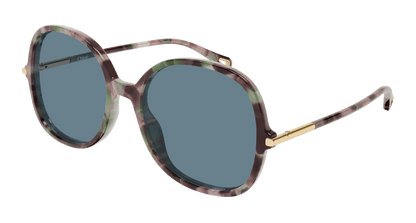 Chloé CH0383S Havana 003 889652647623
