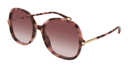 Chloé CH0383S Havana 004 889652647630