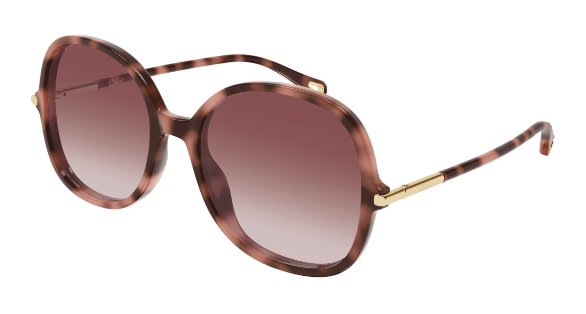 Chloé CH0383S Havana 004 889652647630