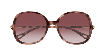 Chloé CH0383S Havana 004 889652647630