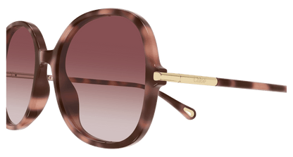Chloé CH0383S Havana 004 889652647630