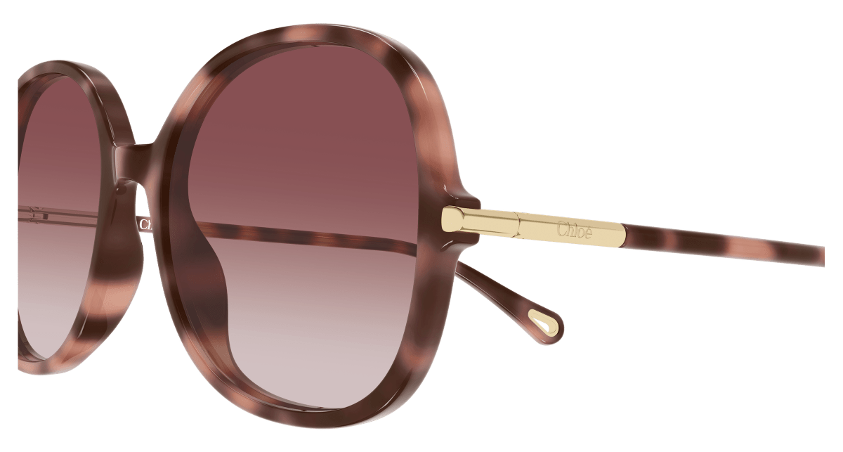 Chloé CH0383S Havana 004 889652647630