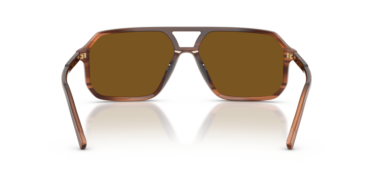 0DG4541 Brown On Striped Brown rear view image 3 barcode 8056262837856