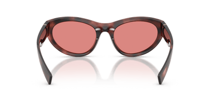 0DG6207 Pink Havana rear view image 3 barcode 8056262847268