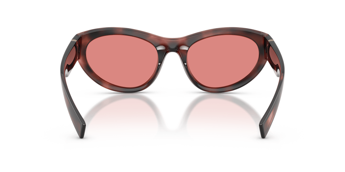 0DG6207 Pink Havana rear view image 3 barcode 8056262847268