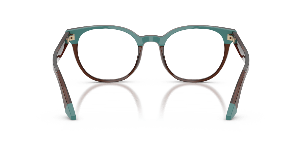0EA3274 Transparent Brown/Teal rear view image 3 barcode 8056262584200