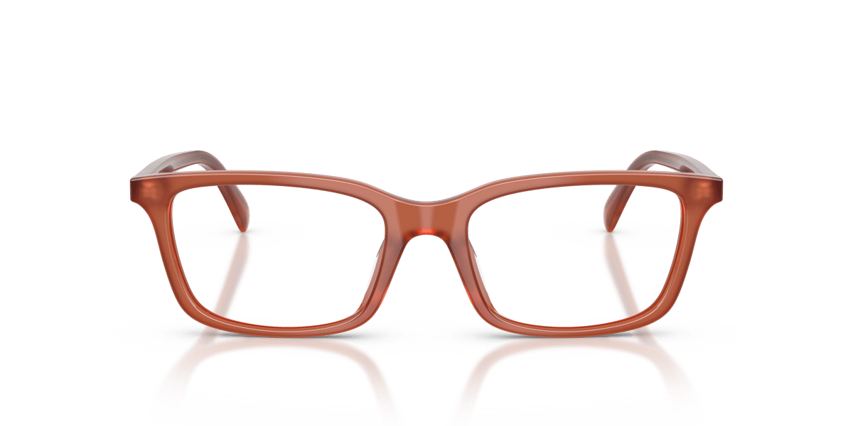 0EA3290U Shiny Opal Light Brown front view image 4 barcode 8056262970874