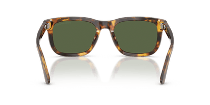 0EA4282U Shiny Havana Brown rear view image 3 barcode 8056262975473