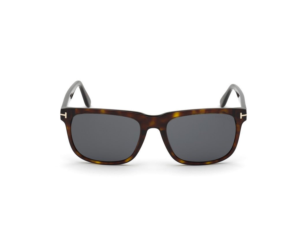 Dark Havana Male Sunglasses Tom Ford 889214120779