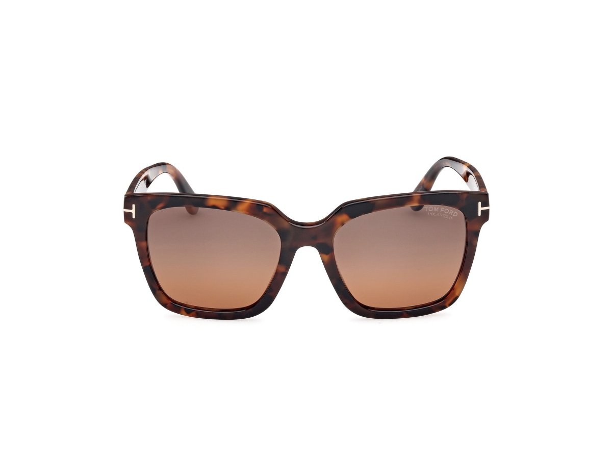 Dark Havana Female Sunglasses Tom Ford 889214531605