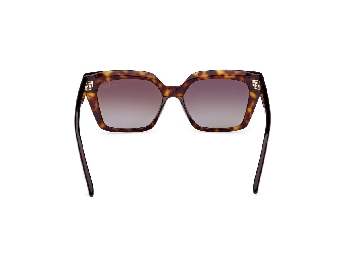 Dark Havana Female Sunglasses Tom Ford 889214442383