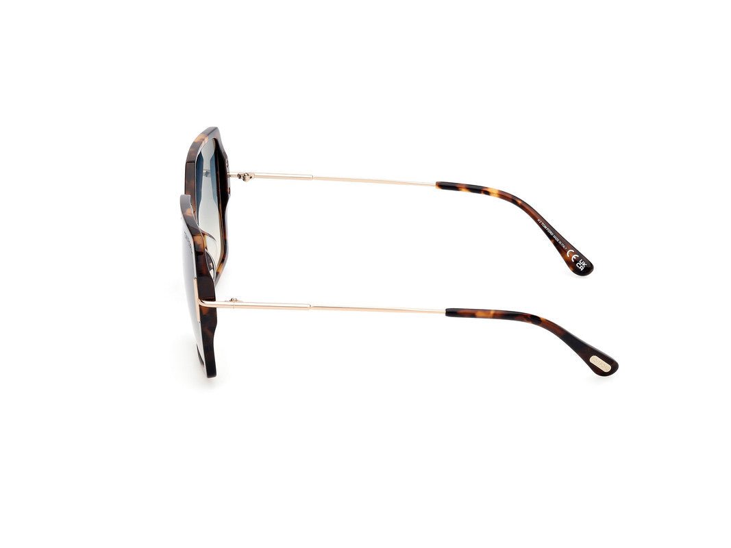 Dark Havana Female Sunglasses Tom Ford 889214542113