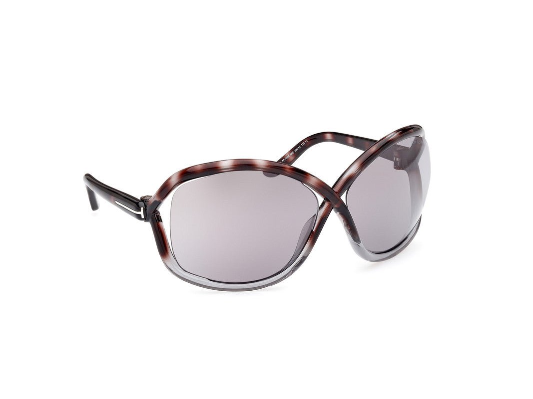 Havana/Gradient Female Sunglasses Tom Ford 889214457646
