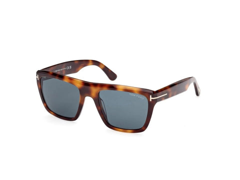 FT1077 ALBERTO - Tom Ford - blonde havana / blue - 55mm - Ardor Eyewear